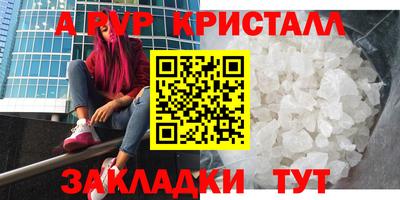гашик Кингисепп