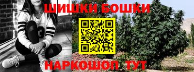 прущие крисы Канаш