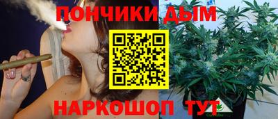 шишки Кинель