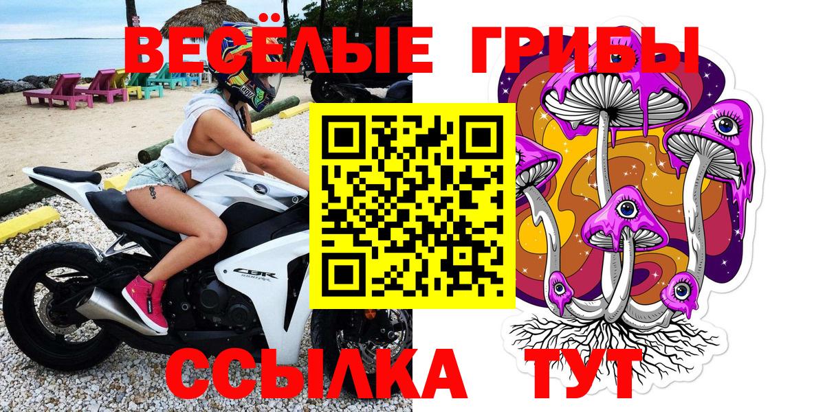 Карасук  Псилоцибиновые грибы Psilocybine cubensis  Вход с VPN 